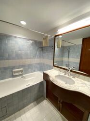 Cavenagh Lodge (D9), Apartment #622784591